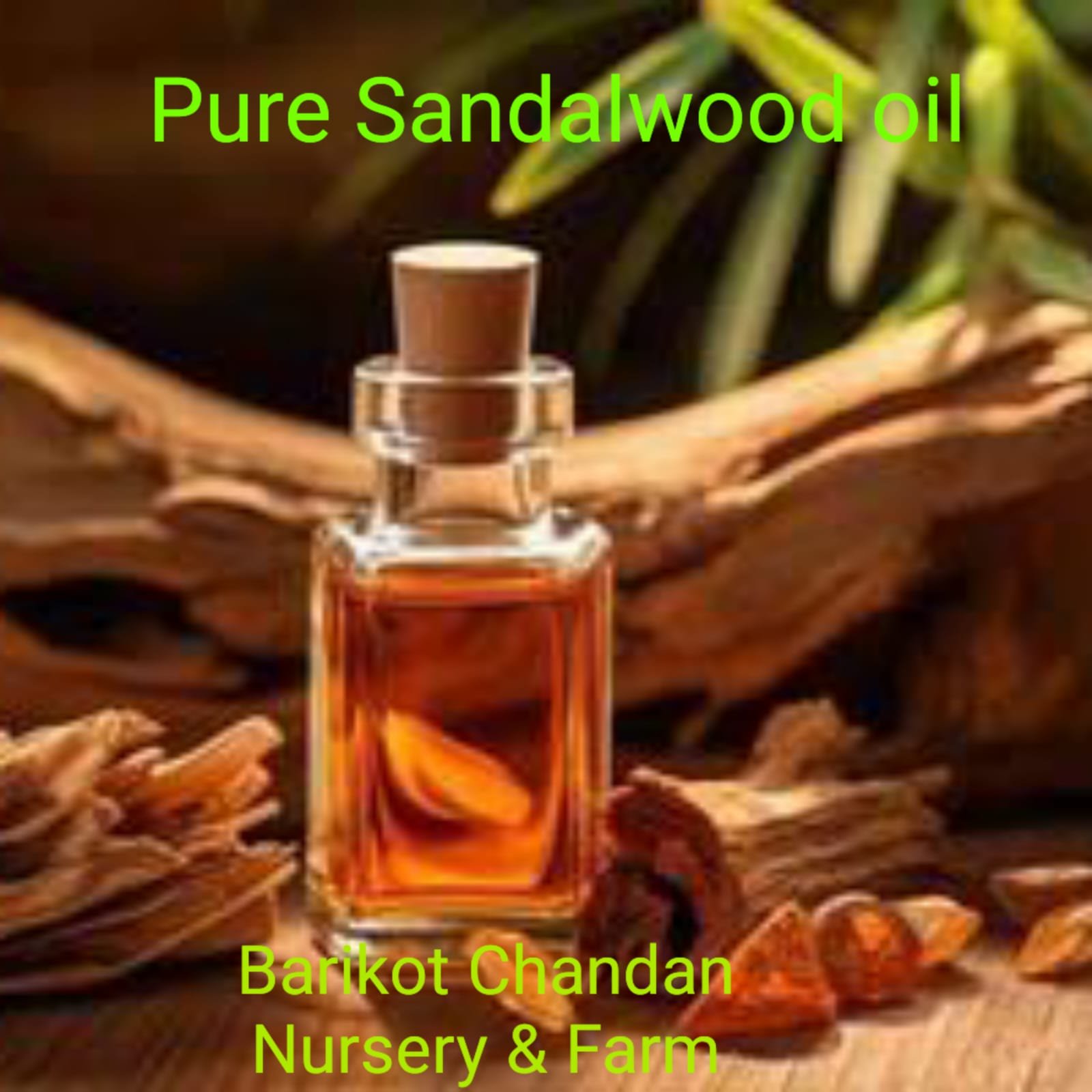 WhatsApp Image 2025-04-30 at 12.17.41