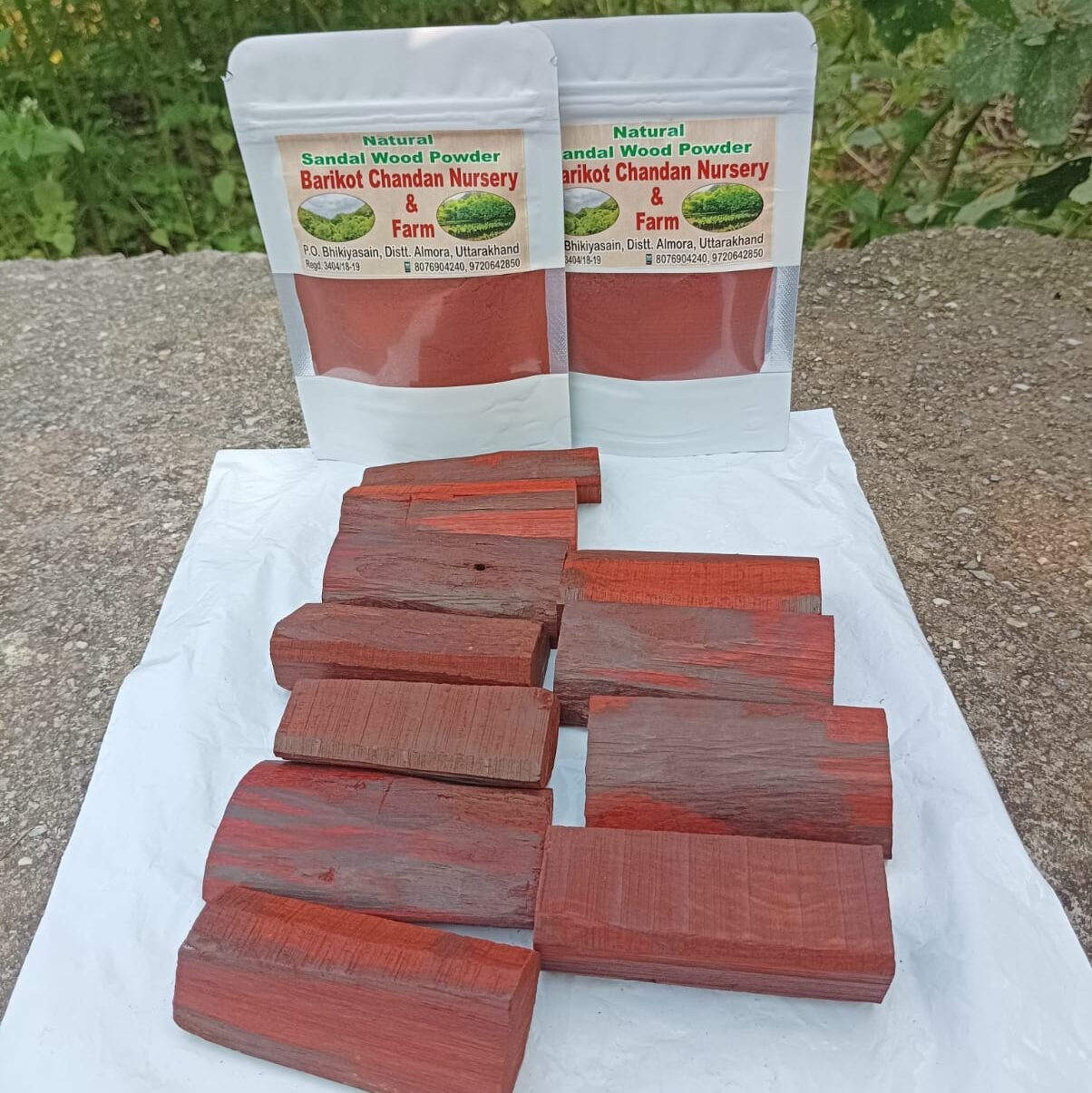 WhatsApp Image 2025-09-17 at 13.31.17 (1)